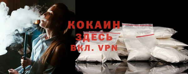 ГАЛЛЮЦИНОГЕННЫЕ ГРИБЫ Белокуриха