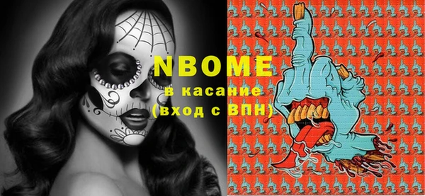СК Няндома