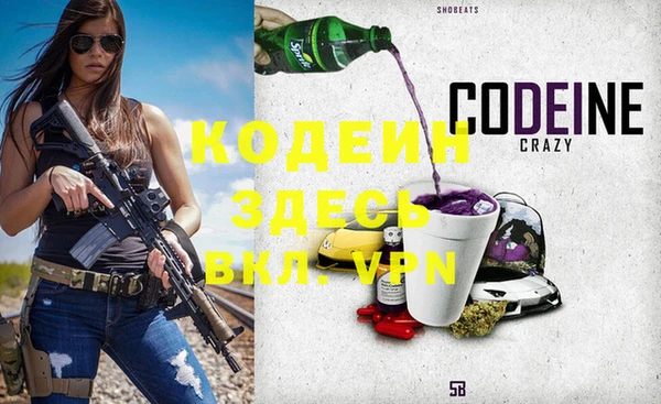 мдпв Осинники