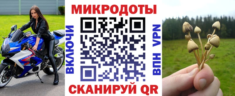 Галлюциногенные грибы ЛСД  купить закладку  Тайга 